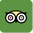 Trip Advisor Icon